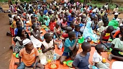 Community feeding